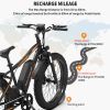 (Do Not Sell on Amazon) AOSTIRMOTOR 26" 750W Electric Bike Fat Tire P7 48V 13AH Removable Lithium Battery for Adults with Detachable Rear Rack Fender