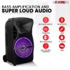 5 Core Party Speaker Portable PA System 2 Wireless Microphone Bluetooth Loud Big Subwoofer Active Powered DJ Karaoke Machine for Studio Indoor Outdoor